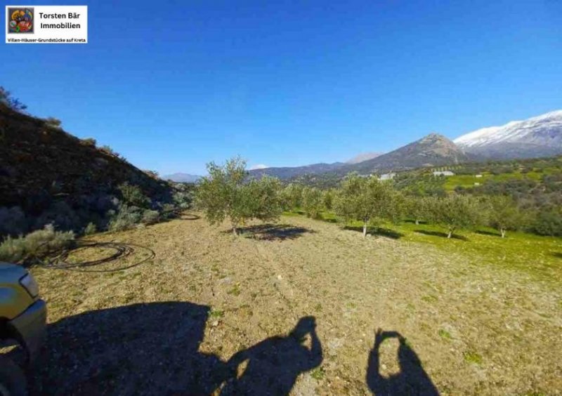 Kalochorafitis Kreta, Kalochorafiti: Landwirtschaftliches Grundstück mit 170 Olivenbäumen Grundstück kaufen
